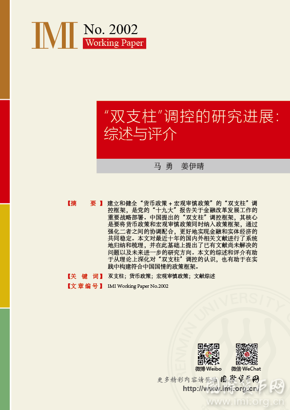 【IMIworkingpaperNO.2002】“双支柱”调控的研究进展：综述与评介