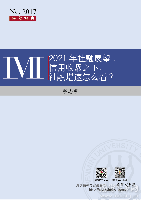 【IMI Report No.2017】2021年社融展望